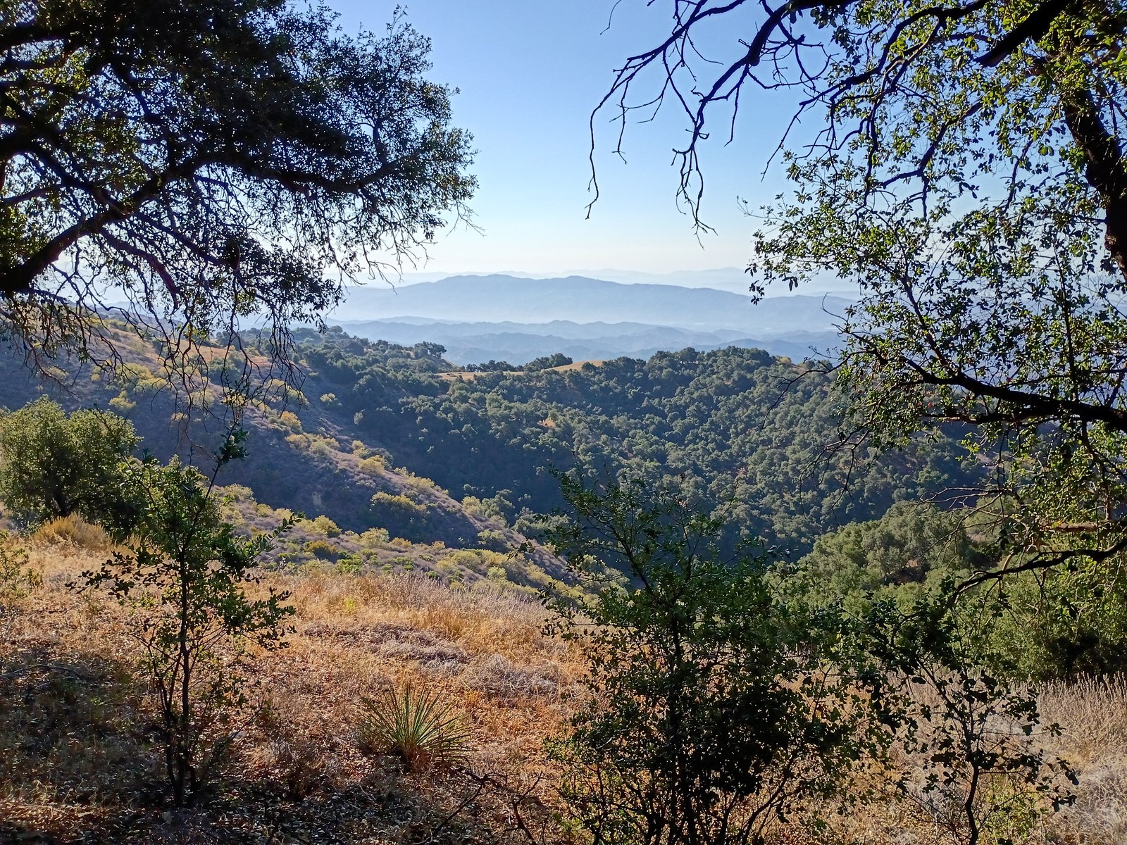 View View