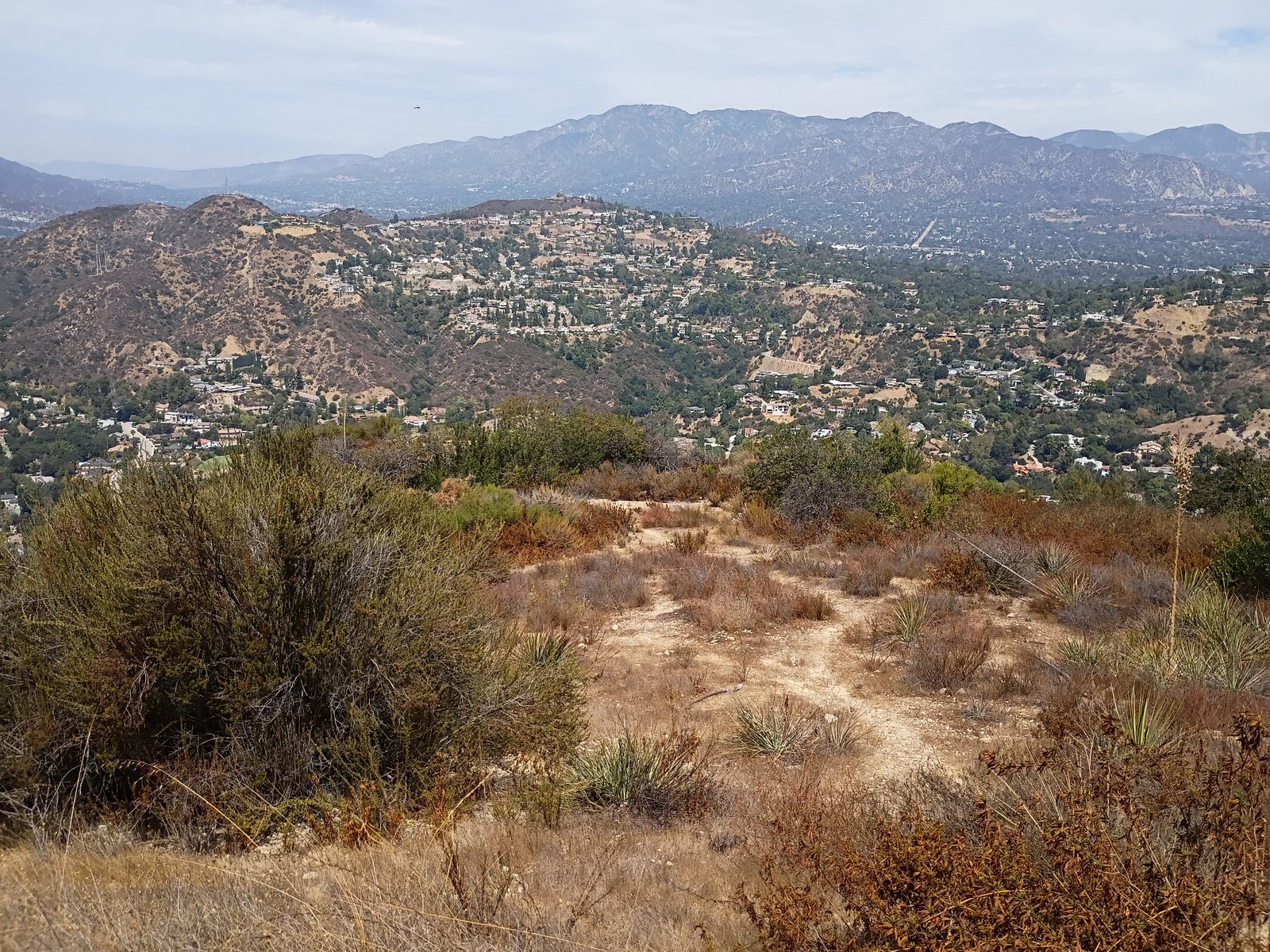 East slope East slope