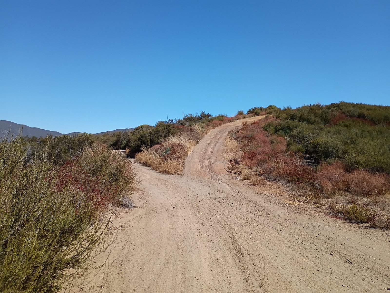 Dirt bike track Dirt bike track