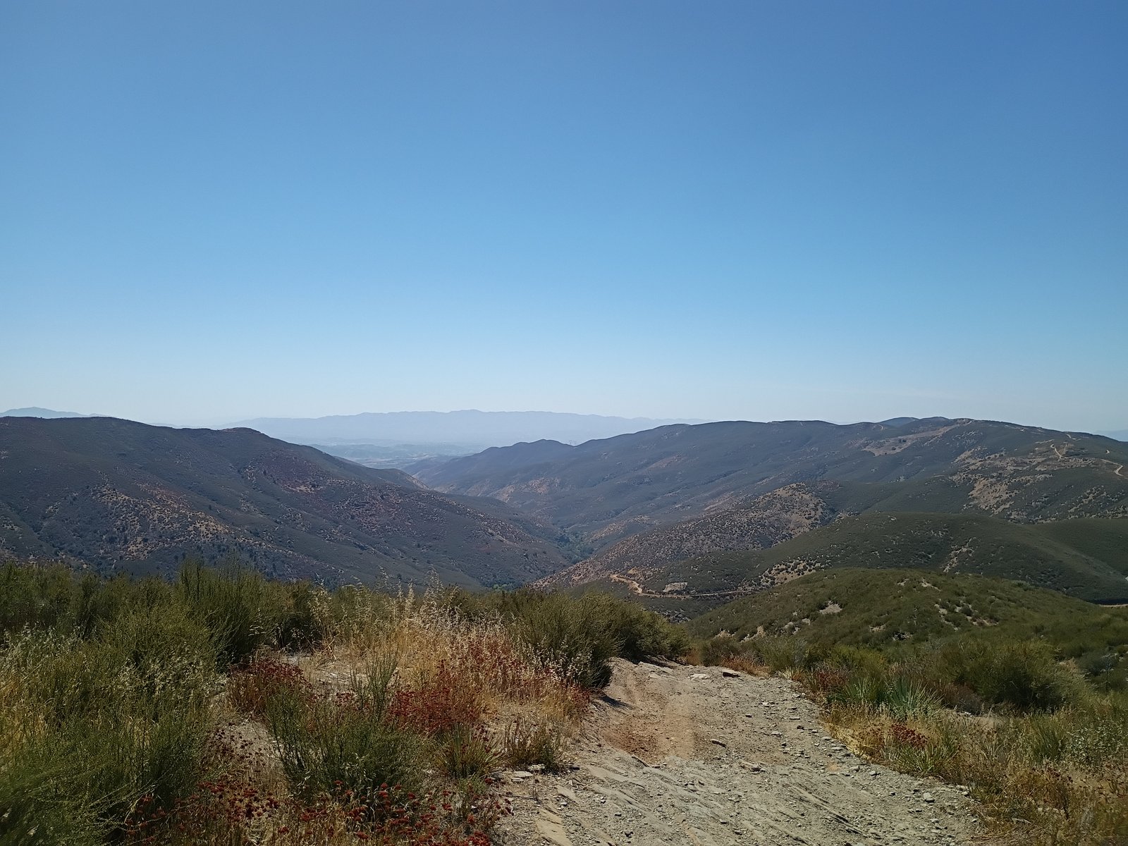 View View